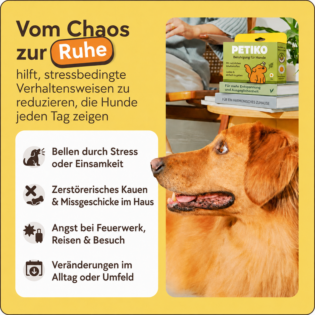 Beruhigungs-Diffuser-Set für Hunde